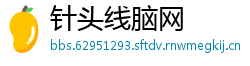 针头线脑网